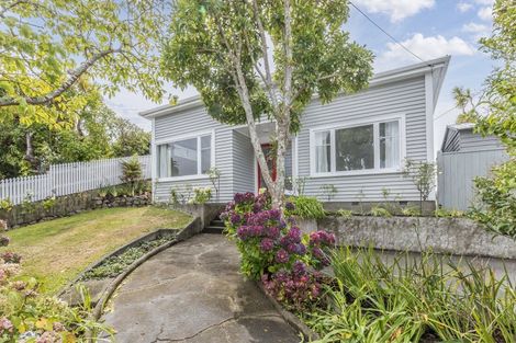 Photo of property in 43 Washington Avenue, Brooklyn, Wellington, 6021