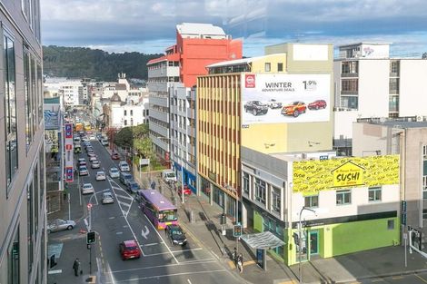 Photo of property in Vsp South, 502/166 Victoria Street, Te Aro, Wellington, 6011