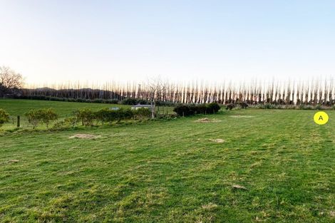 Photo of property in 139 Waimumu Road, Waimumu, Gore, 9774