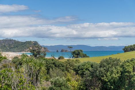 Photo of property in 10 Otama Beach Road, Opito Bay, Whitianga, 3592