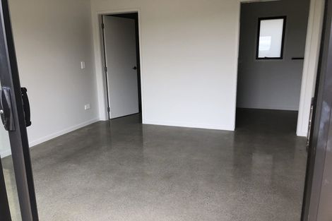 Photo of property in 24 The Drive, Brookfield, Tauranga, 3110