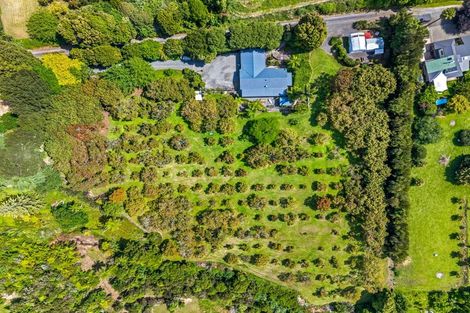 Photo of property in 78b Neewood Road, Ohauiti, Tauranga, 3173