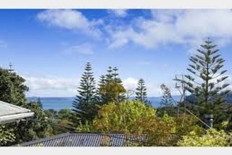 Photo of property in 8a Ladies Mile, Manly, Whangaparaoa, 0930