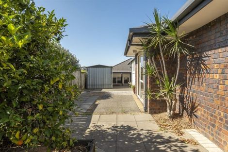 Photo of property in 8 Lanark Place, Bethlehem, Tauranga, 3110