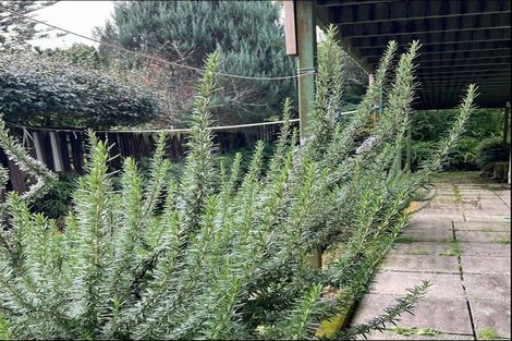 Photo of property in 1070 River Road, Queenwood, Hamilton, 3210