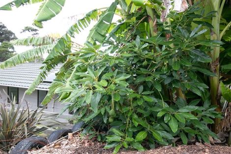 Photo of property in 23 Goffe Drive, Haruru, 0204