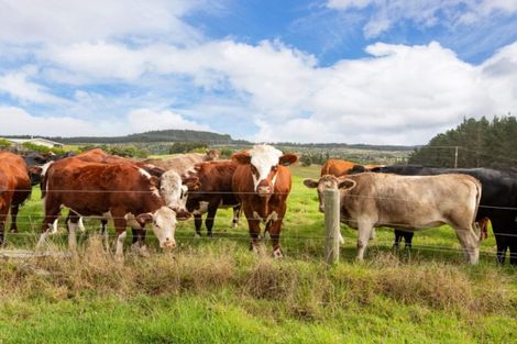 Photo of property in 127a Oruawharo Road, Topuni, Wellsford, 0975