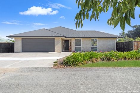 Photo of property in 7 Swindon Lane, Amberley, 7410