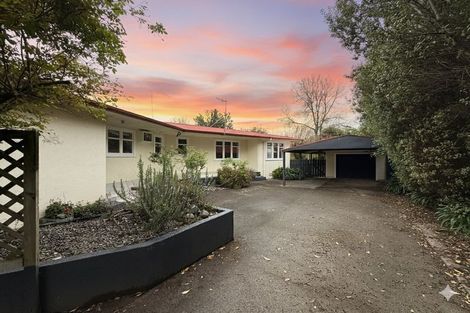 Photo of property in 45 Alfred Street, Roslyn, Palmerston North, 4414