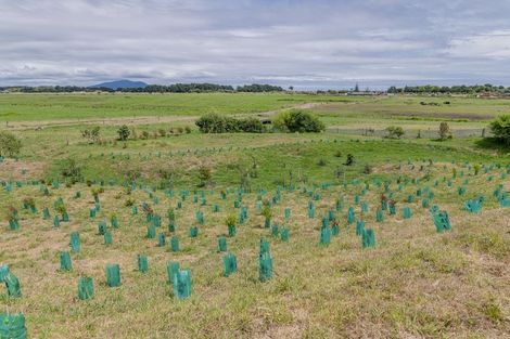 Photo of property in 161 Harakeke Road, Te Horo, Otaki, 5581