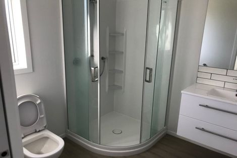 Photo of property in 137 Winchester Street, Levin, 5510