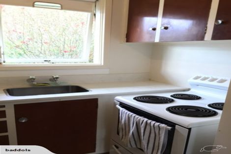 Photo of property in 60 Carlton Mill Road, Merivale, Christchurch, 8014