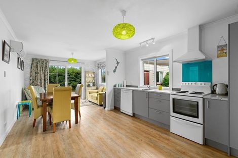 Photo of property in 18 Orient Street, Cromwell, 9310