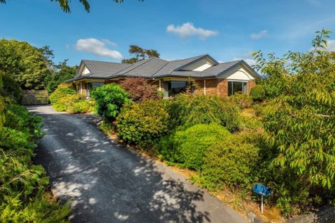 Photo of property in 69 Highfields Drive, Katikati, 3129