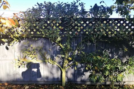 Photo of property in 6 Simeon Street, Somerfield, Christchurch, 8024