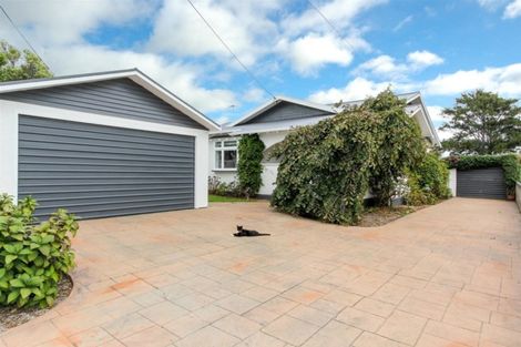 Photo of property in 39 Dorset Avenue, Westown, New Plymouth, 4310