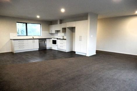 Photo of property in 339 Gloucester Street, Linwood, Christchurch, 8011