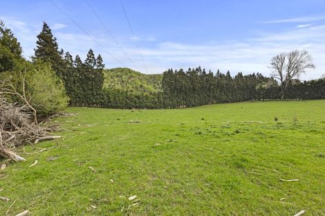 Photo of property in 24 Eagle Street, Welcome Bay, Tauranga, 3112