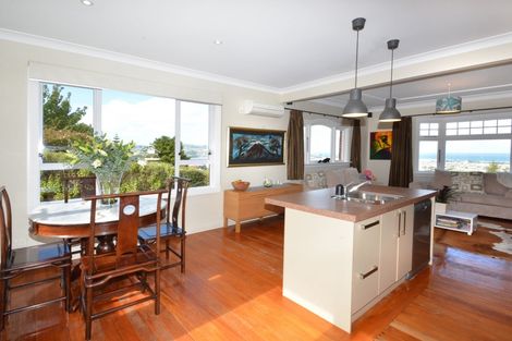 Photo of property in 61 Forfar Street, Clyde Hill, Dunedin, 9011