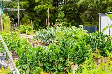 Photo of property in 65 Brooke Lane, Mangawhai, Kaiwaka, 0573