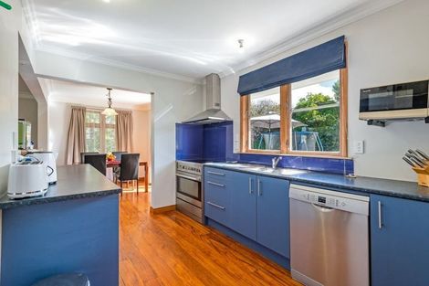 Photo of property in 25 Saint Albans Avenue, Hokowhitu, Palmerston North, 4410