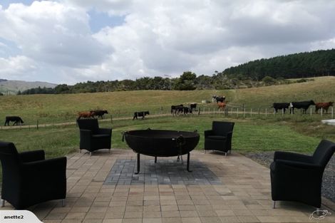 Photo of property in 304 Waipuna Road, Waerenga, Te Kauwhata, 3781