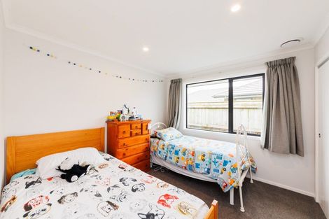 Photo of property in 197 Pacific Drive, Fitzherbert, Palmerston North, 4410