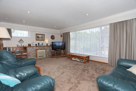 Photo of property in 17 Henare Street, West End, Palmerston North, 4412