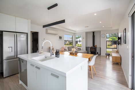 Photo of property in 10 Brooke Place, Alexandra, 9320