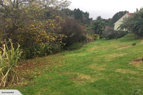 Photo of property in 20 Te Koari Drive, Brookfield, Tauranga, 3110