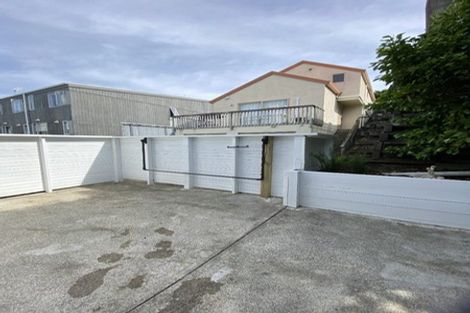 Photo of property in 48a Owen Street, Newtown, Wellington, 6021