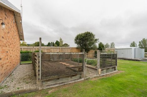 Photo of property in 58 Tokoiti Road, Milton, 9220