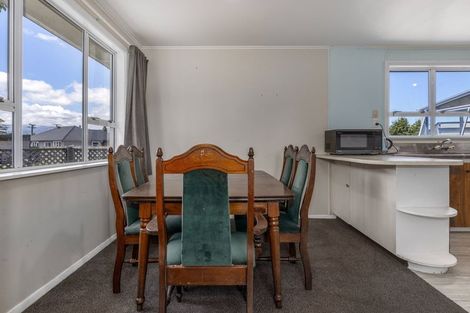 Photo of property in 10 Hobson Street, Levin, 5510