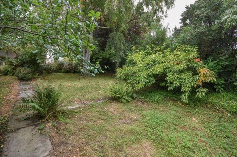 Photo of property in 115 Evans Street, Opoho, Dunedin, 9010