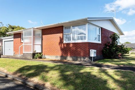 Photo of property in 67 Young Street, New Plymouth, 4310