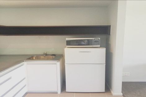 Photo of property in St Paul Apartments, 1b/4 Saint Paul Street, Auckland Central, Auckland, 1010