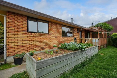Photo of property in 283b Scarborough Street, Kaikoura, 7300