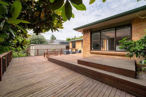 Photo of property in 22 Macdiarmid Road, Beerescourt, Hamilton, 3200