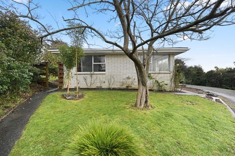 Photo of property in 12b Hazelwood Avenue, Dinsdale, Hamilton, 3204