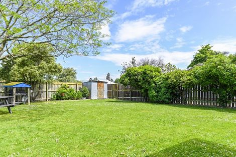 Photo of property in 913d Nelson Street North, Mahora, Hastings, 4120