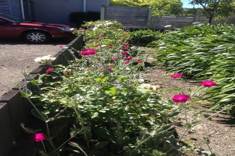 Photo of property in 14 Freyberg Street, Roslyn, Palmerston North, 4414