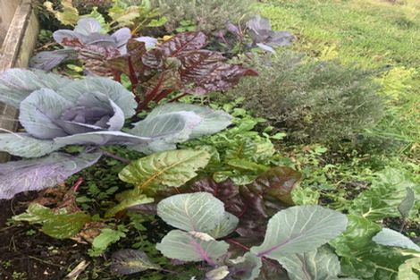 Photo of property in 63 Ranui Terrace, Tawa, Wellington, 5028