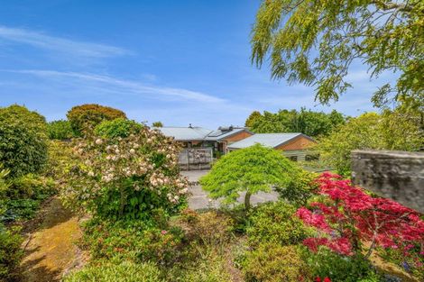 Photo of property in 37 Cassandra Street, Stratford, 4332