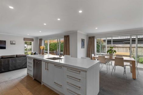 Photo of property in 17 Tiny Hill Drive, Rolleston, 7614