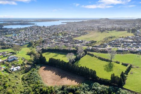 Photo of property in 24 Eagle Street, Welcome Bay, Tauranga, 3112