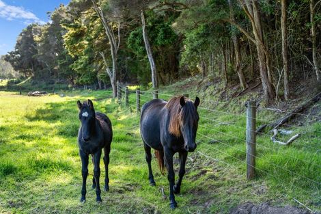 Photo of property in 303 Ody Road, Whangarei Heads, Whangarei, 0174