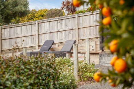 Photo of property in 1/24 High Street, Tirau, 3410