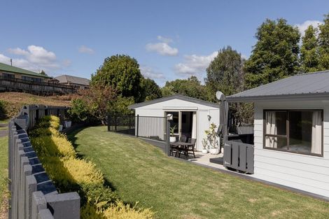 Photo of property in 55 Bongard Street, Gate Pa, Tauranga, 3112