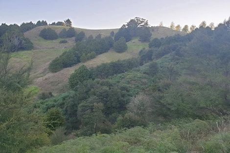 Photo of property in 80 Tunnel Road, Puhoi, Warkworth, 0994