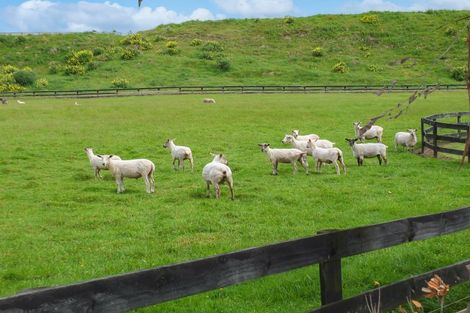 Photo of property in 125 Hickford Road, Foxton, 4893